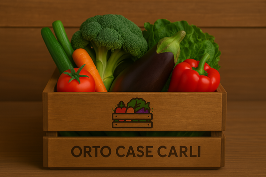 cassettina ortaggi misti